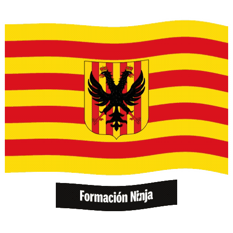 Comunidad Valenciana Flag Sticker by Formación Ninja