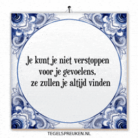 Nl Troost GIF by Tegelspreuken.nl