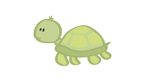 Allie The Ellie Turtle Schildpad Slow Tranquilo Sticker by Allie the Ellie
