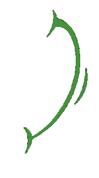 springhillsmiles smile smiles dentistry orthodontics Sticker