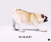 no GIF by kate spade new york