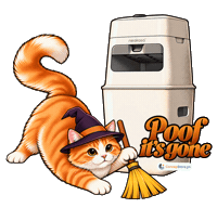 Cat Halloween Sticker by ConcepStorePH