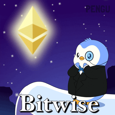 To The Moon Money GIF by Pudgy Penguins