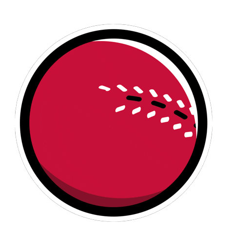 BoostEnergy football kids energy cricket Sticker