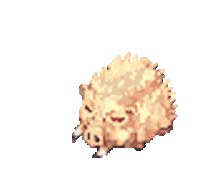 Wild Boar Pig Sticker