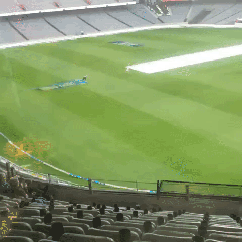 Pitch Invader Slides on Covers at New Zealand Test Match