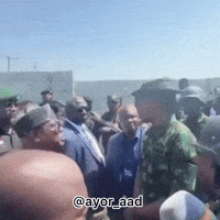 Vdm Wike GIF