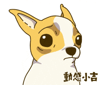 Animation Dog GIF