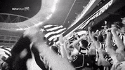 GIF by Botafogo