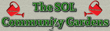 Happy Good Morning GIF by The SOL Foundation
