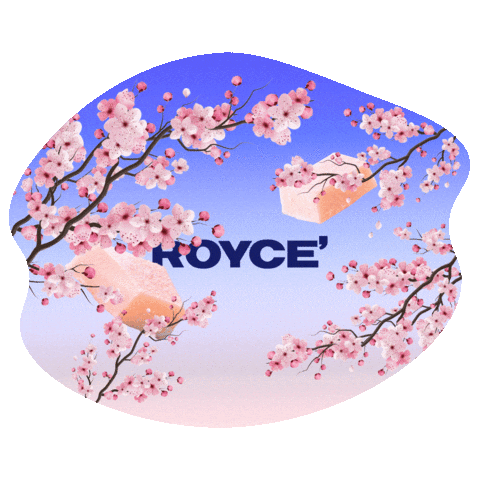 Cherry Blossoms Pink Sticker by ROYCE' Chocolate USA