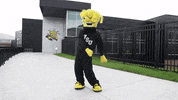 Wu_Shock dance wsu wu wushock GIF