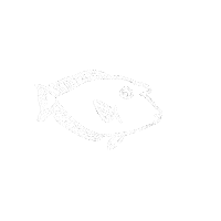 Kope Sticker