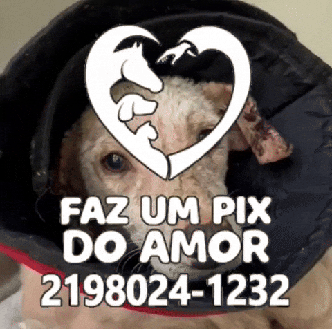 Doe GIF by GARRA