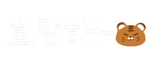 세븐틴 Carat Sticker