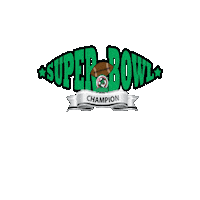 Flag Football Sticker by Dragon Youth Football