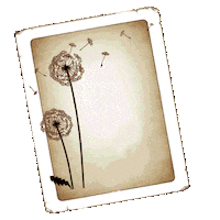 Art Vintage Sticker