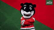 Hockey Mascot GIF by Augsburger Panther Eishockey GmbH