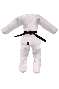 judobuddy judo judoka czech judo judo buddy Sticker