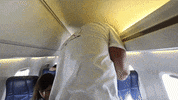 move stringbeans GIF by Digg