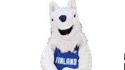 National Team Sport Sticker by Basket_fi