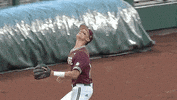 Baseball College GIF by NCAA Championships