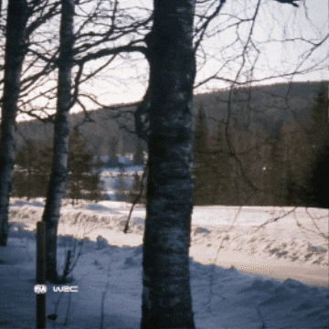 Drifting Rally Sweden GIF by FIA World Rally Championship