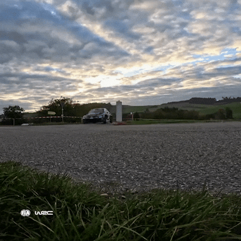 Racing Driving GIF by FIA World Rally Championship