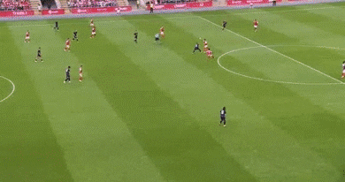 milanhuppert giphyupload GIF
