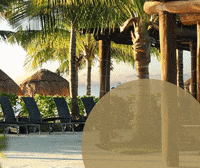 Alder Oasis GIF by BDDRC