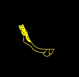 H13NrV giphygifmaker artsy monika 2012beach GIF