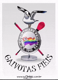 Santos Corinthians GIF