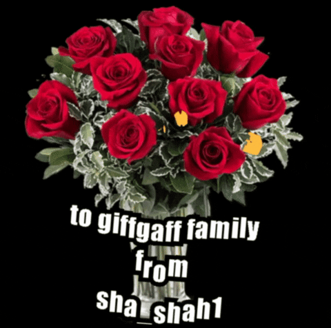 sha_shah  GIF