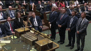 news brexit parliament house of commmons GIF