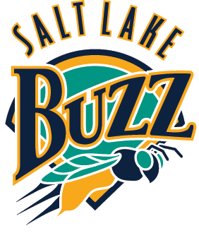 baseball throwback Sticker by Salt Lake Bees