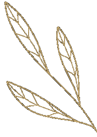 Leaf Boho Sticker