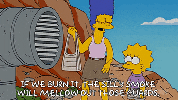 Lisa Simpson GIF by The Simpsons