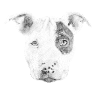 brittanychardpetillustrations tongueout brittanychard Sticker