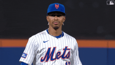 Laugh Smile GIF by New York Mets