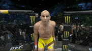 Glover Teixeira Sport GIF by UFC