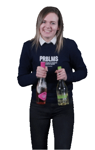 Happy Party Sticker by Allround Makelaardij