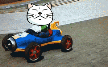 Car Race GIF by ShiroNeko