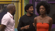 Happy Excited GIF by Big Brother