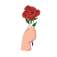 nizart_palette rose flag freedom watermelon Sticker