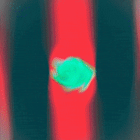 new media art GIF by G1ft3d