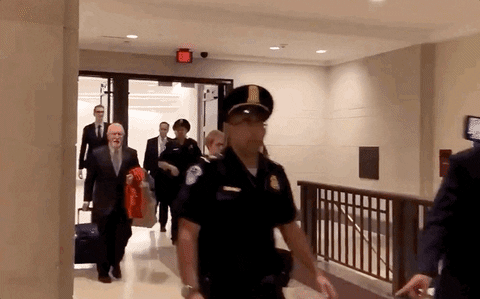 giphyupload giphynewsuspolitics impeachment giphynewsimpeachment marie yovanovitch GIF