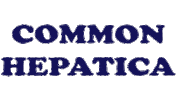 Ch ハッピー Sticker by COMMON HEPATICA