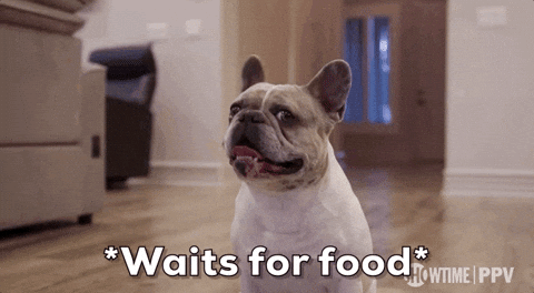 Hungry French Bulldog GIF by SHOWTIME Sports
