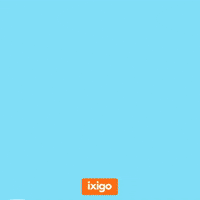 Festival Brother GIF by ixigo