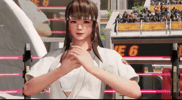 Dead Or Alive Fighting GIF